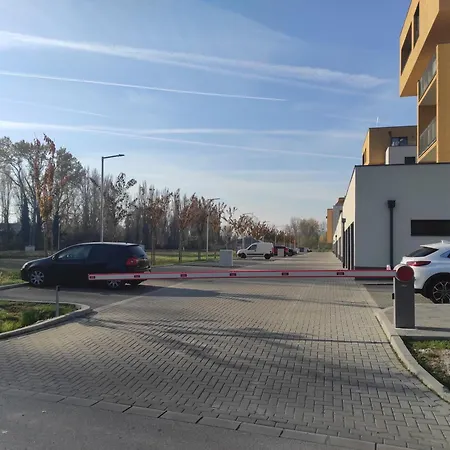 Rabbit 2 * Mosonmagyaróvár